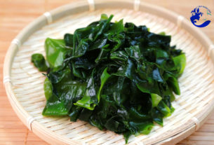 Rong mứt biển Quy Nhơn