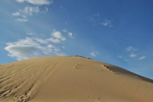 Đồi cát Phương Mai trải rộng trên diện tích rộng lớn và được tạo thành từ hằng hà sa số hạt cát nhỏ li ti vàng óng (Ảnh ST)