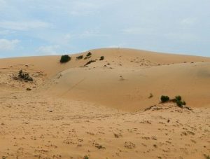 Một góc hoang sơ của đồi cát (Ảnh ST)