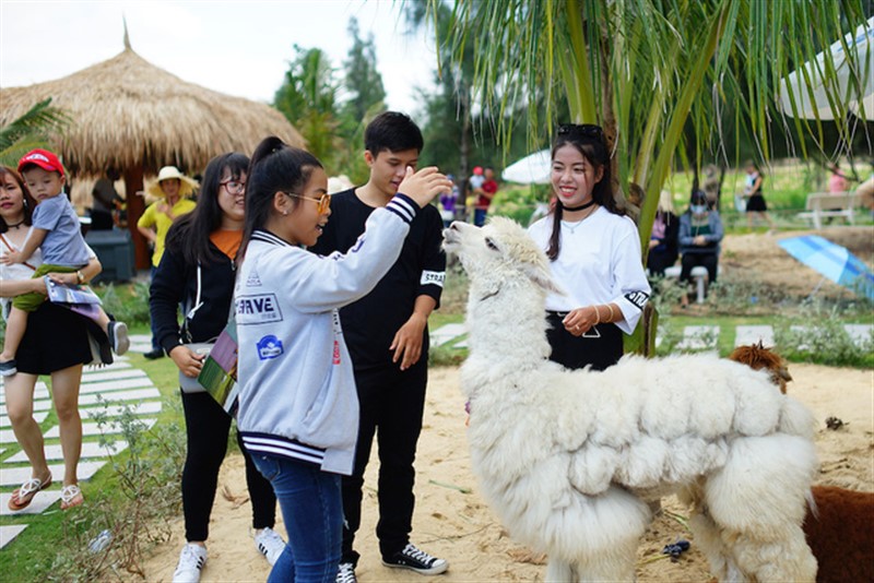 20 điểm nhất định phải đến khi đi du lịch Quy Nhơn