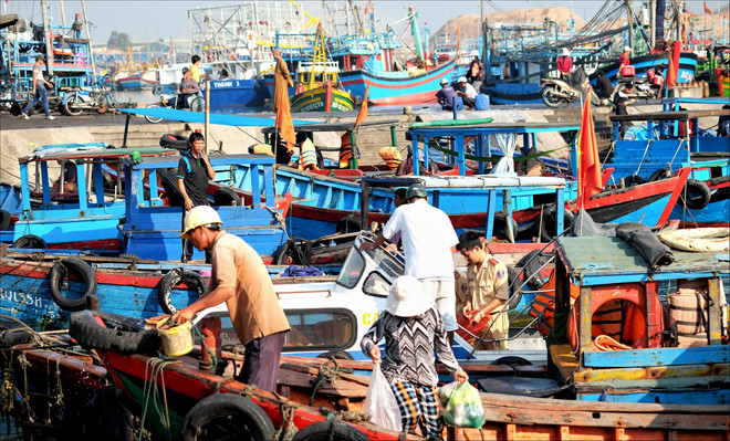Vùng đất Quy Nhơn Bình Định đẹp đến ngỡ ngàng 