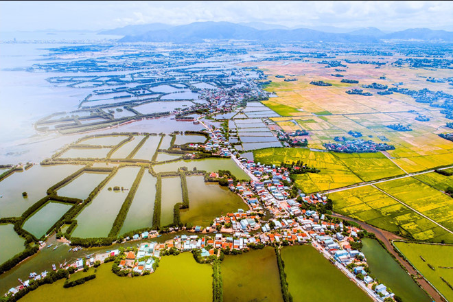 Vùng đất Quy Nhơn Bình Định đẹp đến ngỡ ngàng 