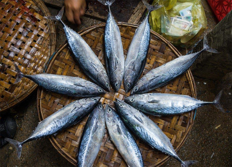 Nền du lịch Quy Nhơn dưới con mắt của phóng viên nước ngoài