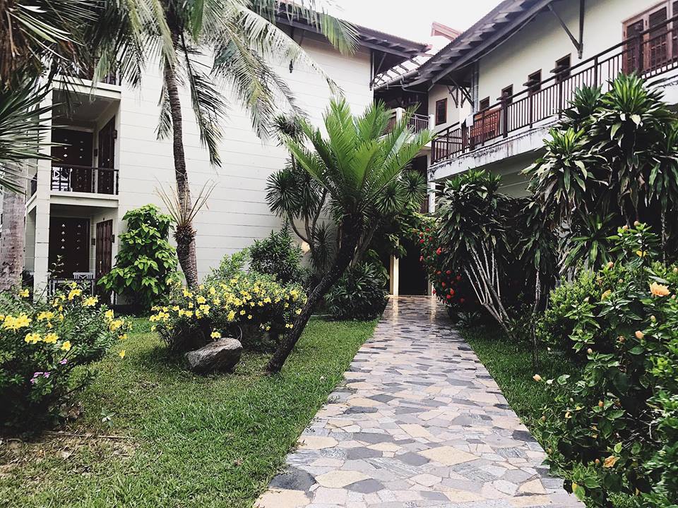 Du lịch Quy Nhơn - Điểm du lịch phải đến một lần trong đời